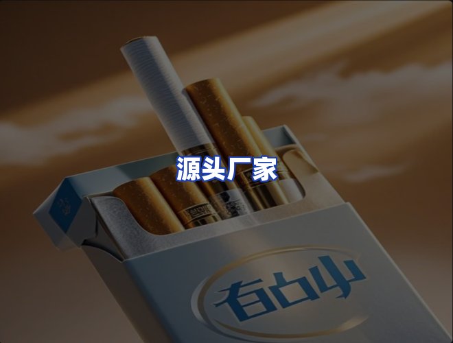 专业团队